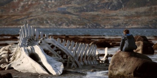 Leviathan - Winner of Best Screenplay, Cannes Film Festival, 2014