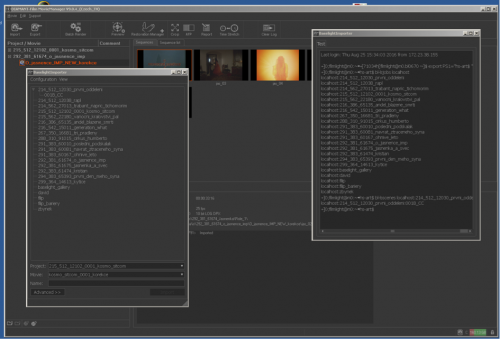 DIAMANT-Film Restoration with Baselight Importer